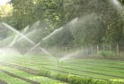 Ferndale VIClandscaping-water-management-and-drainage-17.jpg; ?>